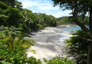 Panama Rundreise | Strand mit tropischer Kulisse von Boca Chica
