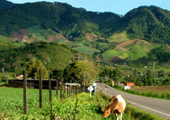 Panama Rundreise | Cerro Punta von Boquete
