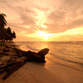 Panama Reisen | Sonnenuntergang in San Blas