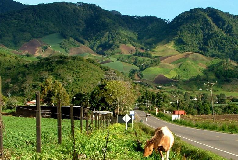 Panama Rundreise | Cerro Punta, Boquete