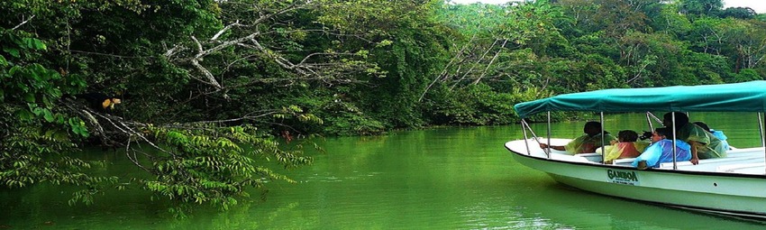 gamboa panama.jpg gamboa panama.jpg