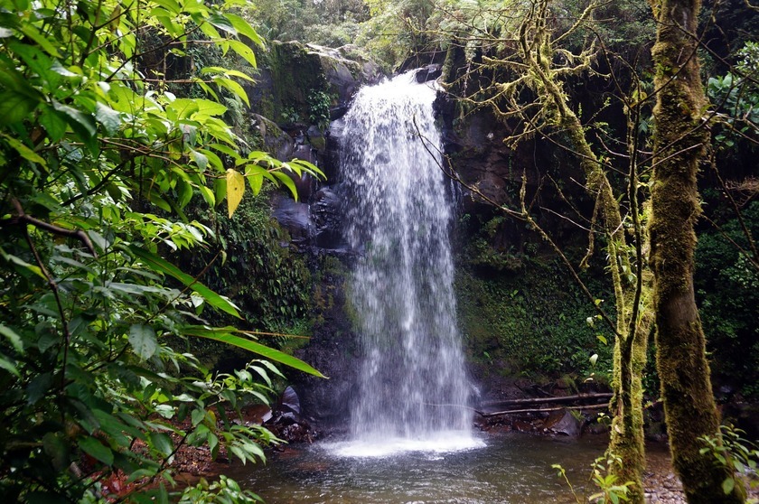 sendero-3-cascadas-boquetejpg.jpg