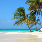 Panama Rundreise | Strand, San Blas