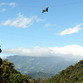 Panama Rundreise | Canopy in Boquete