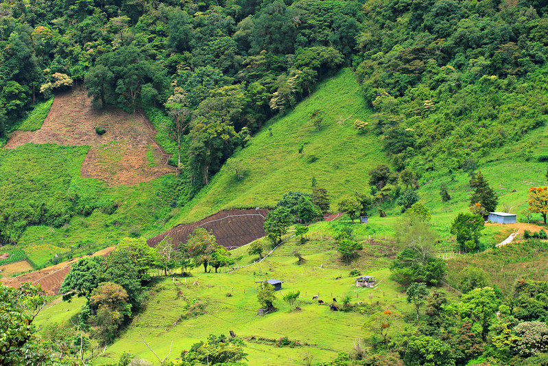 sendero-culebrajpg.jpg