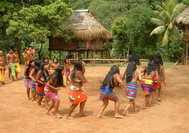 Tanz der Frauen der Embera Ethnie