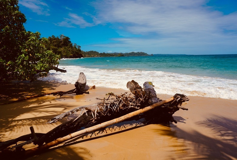 red-frog-playa-bocas-del-toro-panamajpg.jpg